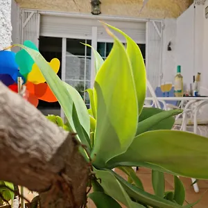  Apartamento San Antonio - Beach, Pool And Terrace España